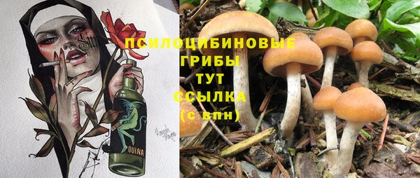 индика Абдулино