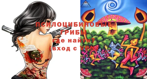 гидра Абинск