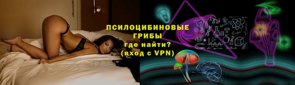 индика Абдулино