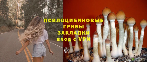 гидра Абинск